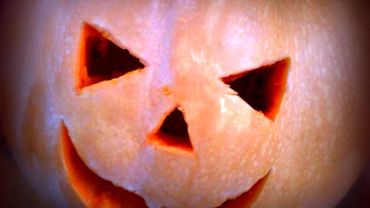 Speciale Halloween Come Pulire Facilmente La Zucca Video
